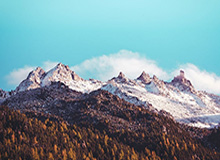 LeyuSports：引领运动潮流的未来之选，与你一起书写健康生活